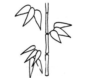 简笔画竹子的画法步骤